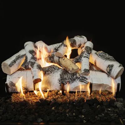 Grand Canyon: Quaking Aspen See-Through Gas Log Set 48in — primary view