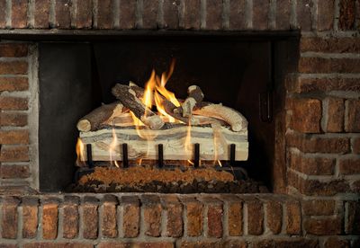Grand Canyon: Blue Pine Split Gas Logs 18in — primary view
