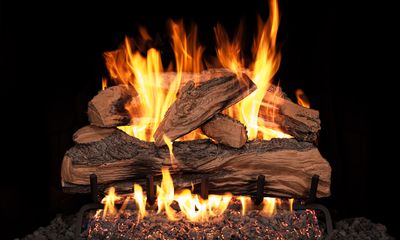 RH Peterson: Split Oak Designer Plus See-Thru Logs - 20" — primary view