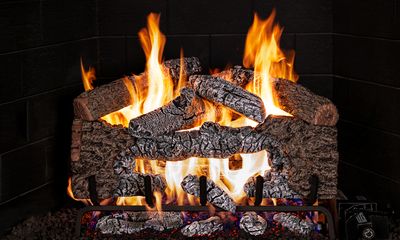 RH Peterson: Charred Cinder Oak Logs - 30" — primary view