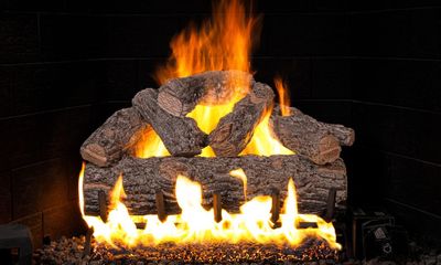 RH Peterson: Golden Oak Designer Plus Flame Enhanced Logs - 20" — primary view