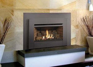 Lopi: Radiant Plus Medium Insert